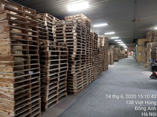 Hình ảnh nhà xưởng công ty WPL - Wooden Pallet Việt Nam - Công Ty Cổ Phần Đầu Tư và Thương Mại Wooden Pallet Việt Nam